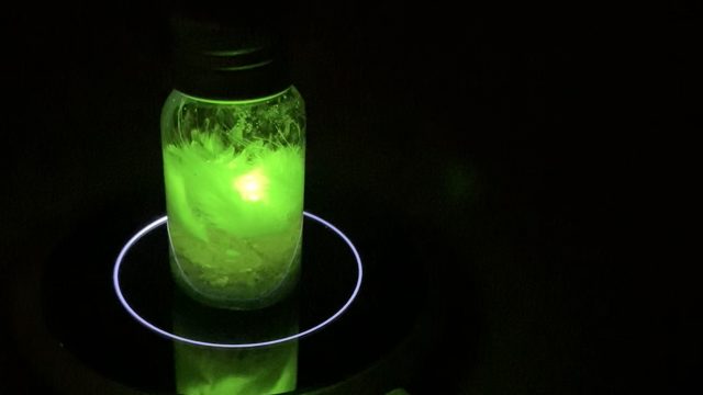 光るハーバリウム・レシーバーの作り方